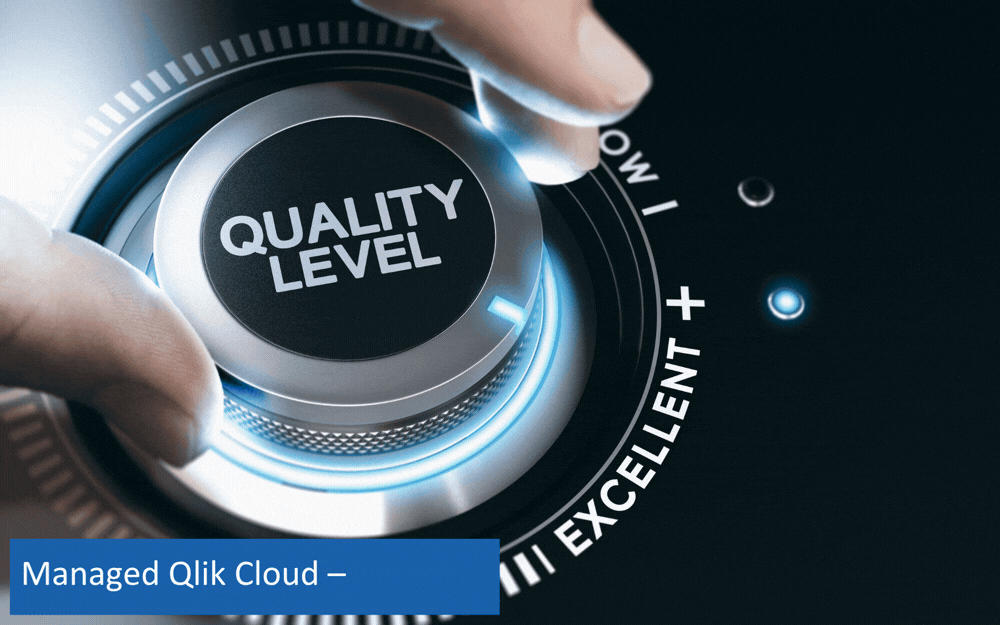 iodata-managed-qlik-cloud–premium  (1000 x 625 px)