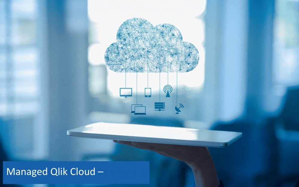 iodata-managed-qlik-cloud–standard  (1000 x 625 px)
