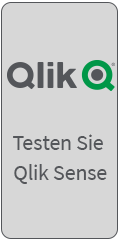 Qlik-Technologien zu Datenintegration & Data-Analytics.