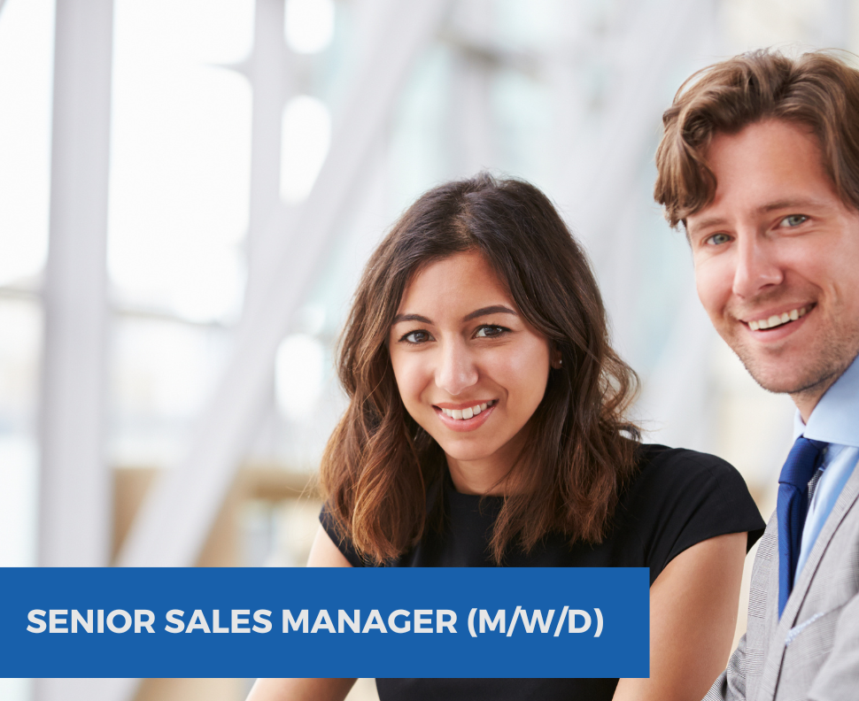 Senior Sales Manager (m/w/d) | iodata